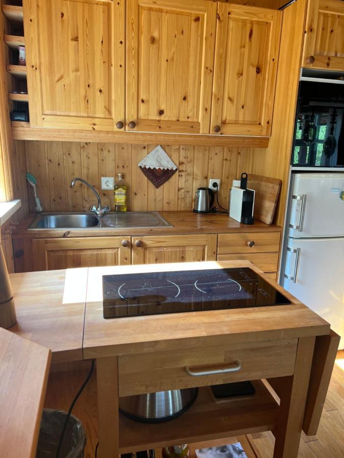 Summerhouse Vaglaskogur Akureyri Ngoại thất bức ảnh