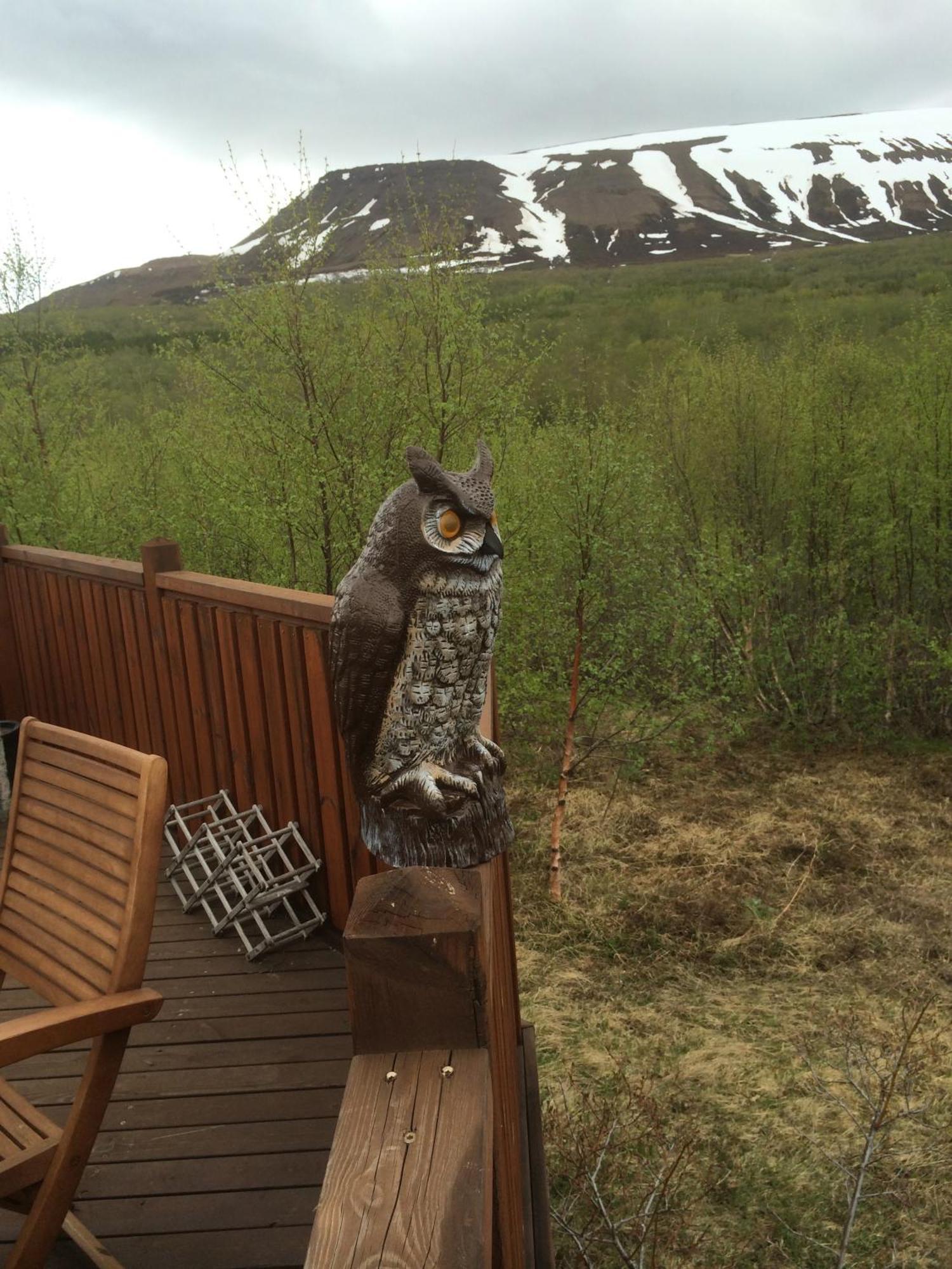 Summerhouse Vaglaskogur Akureyri Ngoại thất bức ảnh